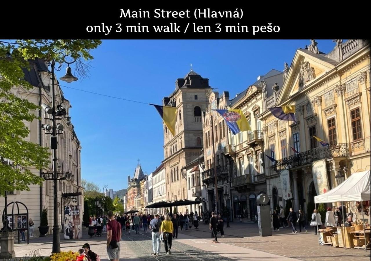 E1 Luxury Oldtown Apt - 2X Parking, Foodstore, Pcscreen, Netflix, Unlimited Music, Crib, Babychair, Fastwifi, Aircon Koszyce Zewnętrze zdjęcie